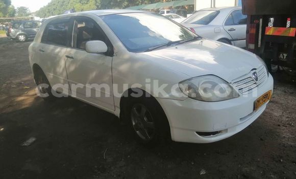 Buy Used Toyota Runx White Car in Harare in Harare Buy Used Toyota Runx White Car in Harare in Harare