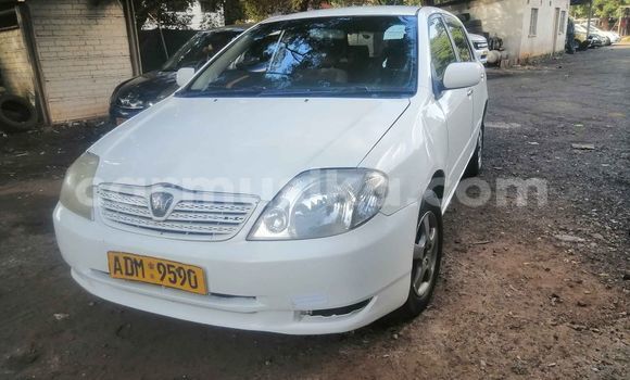 Tenga Tsaru Toyota Runx Chena Mota in Harare in Harare Tenga Tsaru Toyota Runx Chena Mota in Harare in Harare