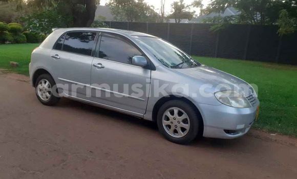 Tenga Tsaru Toyota Runx Sirivha Mota in Harare in Harare Tenga Tsaru Toyota Runx Sirivha Mota in Harare in Harare