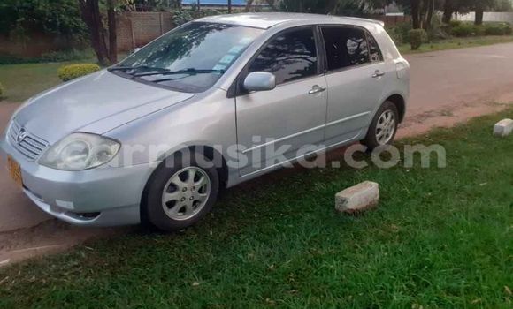 Tenga Tsaru Toyota Runx Sirivha Mota in Harare in Harare Tenga Tsaru Toyota Runx Sirivha Mota in Harare in Harare