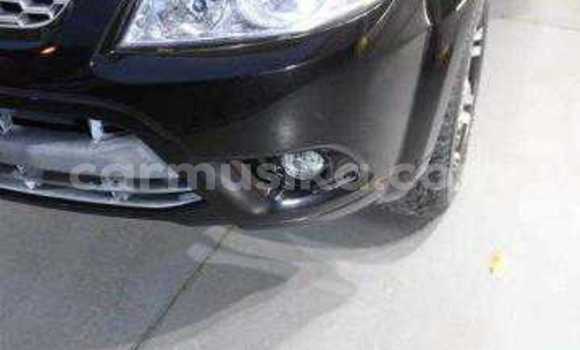 Acheter Occasion Voiture Ford Escape Noir à Beitbridge, Matabeleland South Acheter Occasion Voiture Ford Escape Noir à Beitbridge, Matabeleland South