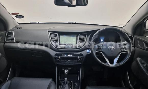 Buy Used Hyundai Tucson Other Car in Beitbridge in Matabeleland South Buy Used Hyundai Tucson Other Car in Beitbridge in Matabeleland South