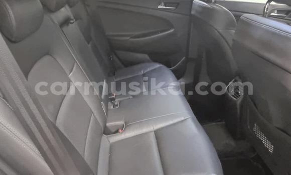 Buy Used Hyundai Tucson Other Car in Beitbridge in Matabeleland South Buy Used Hyundai Tucson Other Car in Beitbridge in Matabeleland South