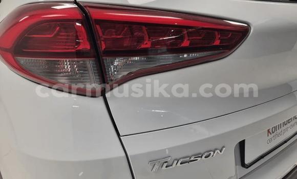 Buy Used Hyundai Tucson Other Car in Beitbridge in Matabeleland South Buy Used Hyundai Tucson Other Car in Beitbridge in Matabeleland South