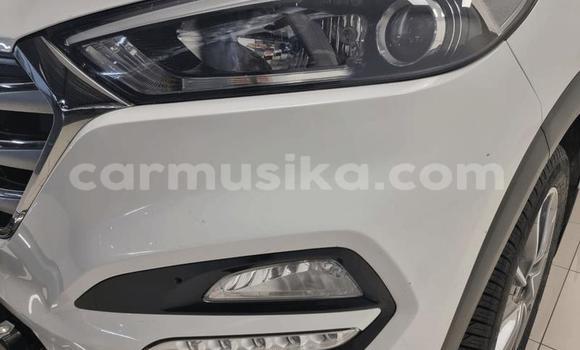 Buy Used Hyundai Tucson Other Car in Beitbridge in Matabeleland South Buy Used Hyundai Tucson Other Car in Beitbridge in Matabeleland South