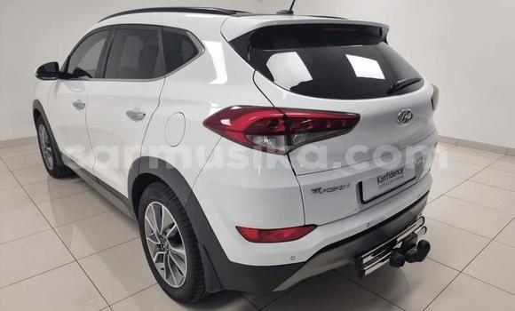 Buy Used Hyundai Tucson Other Car in Beitbridge in Matabeleland South Buy Used Hyundai Tucson Other Car in Beitbridge in Matabeleland South