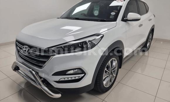 Buy Used Hyundai Tucson Other Car in Beitbridge in Matabeleland South Buy Used Hyundai Tucson Other Car in Beitbridge in Matabeleland South
