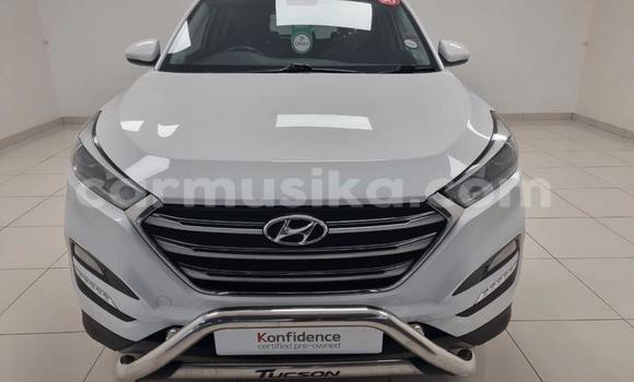 Buy Used Hyundai Tucson Other Car in Beitbridge in Matabeleland South Buy Used Hyundai Tucson Other Car in Beitbridge in Matabeleland South