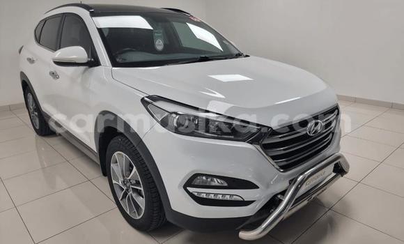 Buy Used Hyundai Tucson Other Car in Beitbridge in Matabeleland South Buy Used Hyundai Tucson Other Car in Beitbridge in Matabeleland South