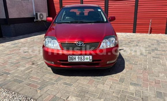 Buy Used Toyota Runx Red Car in Beitbridge in Matabeleland South Buy Used Toyota Runx Red Car in Beitbridge in Matabeleland South