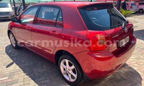 Buy Used Toyota Runx Red Car in Beitbridge in Matabeleland South Buy Used Toyota Runx Red Car in Beitbridge in Matabeleland South