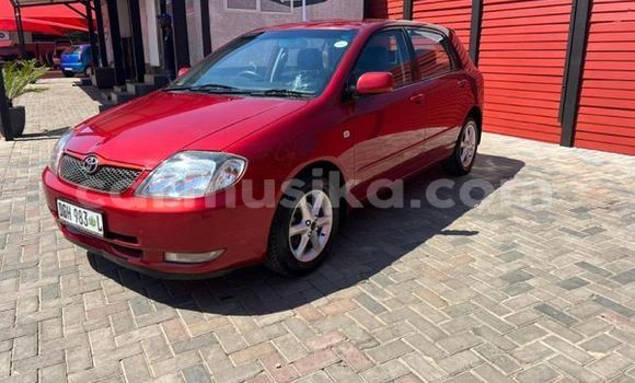 Buy Used Toyota Runx Red Car in Beitbridge in Matabeleland South Buy Used Toyota Runx Red Car in Beitbridge in Matabeleland South