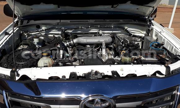 Acheter Occasion Voiture Toyota Hilux Blanc à Beitbridge, Matabeleland South Acheter Occasion Voiture Toyota Hilux Blanc à Beitbridge, Matabeleland South