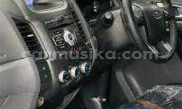 Tenga Tsaru Ford Ranger Nhema Mota in Beitbridge in Matabeleland South Tenga Tsaru Ford Ranger Nhema Mota in Beitbridge in Matabeleland South