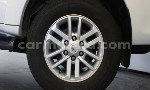 Tenga Tsaru Toyota Fortuner Chena Mota in Beitbridge in Matabeleland South Tenga Tsaru Toyota Fortuner Chena Mota in Beitbridge in Matabeleland South