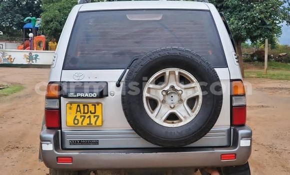 Buy Used Toyota Land Cruiser Prado Silver Car in Harare in Harare Buy Used Toyota Land Cruiser Prado Silver Car in Harare in Harare