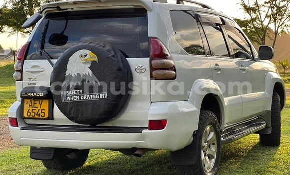 Buy Used Toyota Land Cruiser Prado White Car in Harare in Harare Buy Used Toyota Land Cruiser Prado White Car in Harare in Harare