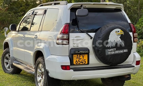 Buy Used Toyota Land Cruiser Prado White Car in Harare in Harare Buy Used Toyota Land Cruiser Prado White Car in Harare in Harare
