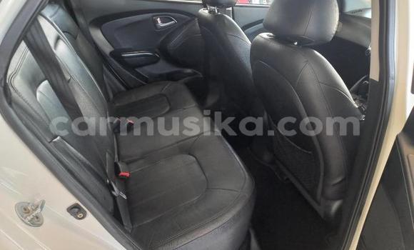 Buy Used Hyundai ix35 White Car in Beitbridge in Matabeleland South Buy Used Hyundai ix35 White Car in Beitbridge in Matabeleland South