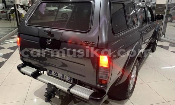 Nunua Ilio tumika Nissan Hardbody Fedha Gari ndani ya Beitbridge nchini Matabeleland Kusini Nunua Ilio tumika Nissan Hardbody Fedha Gari ndani ya Beitbridge nchini Matabeleland Kusini