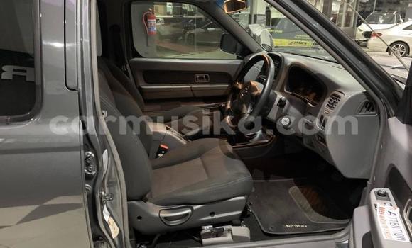 Nunua Ilio tumika Nissan Hardbody Fedha Gari ndani ya Beitbridge nchini Matabeleland Kusini Nunua Ilio tumika Nissan Hardbody Fedha Gari ndani ya Beitbridge nchini Matabeleland Kusini