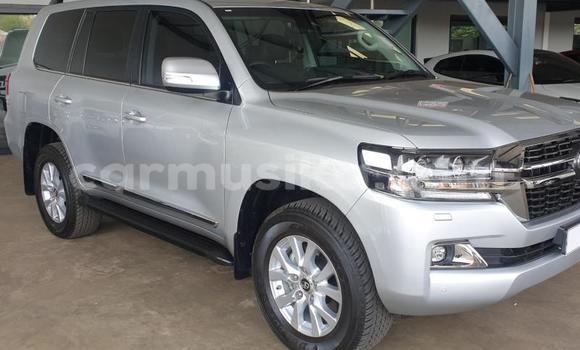 Acheter Occasion Voiture Toyota Land Cruiser Prado Blanc à Beitbridge, Matabeleland South