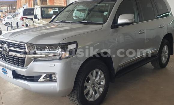 Nunua Ilio tumika Toyota Land Cruiser Prado Nyeupe Gari ndani ya Beitbridge nchini Matabeleland Kusini Nunua Ilio tumika Toyota Land Cruiser Prado Nyeupe Gari ndani ya Beitbridge nchini Matabeleland Kusini