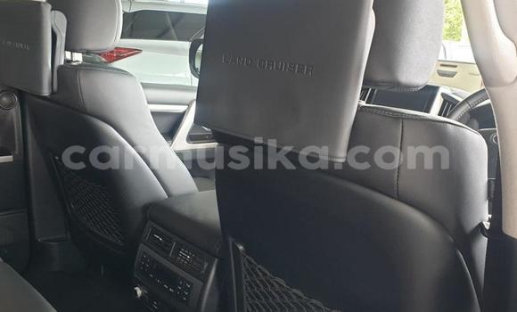 Nunua Ilio tumika Toyota Land Cruiser Prado Nyeupe Gari ndani ya Beitbridge nchini Matabeleland Kusini Nunua Ilio tumika Toyota Land Cruiser Prado Nyeupe Gari ndani ya Beitbridge nchini Matabeleland Kusini