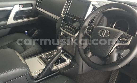 Nunua Ilio tumika Toyota Land Cruiser Prado Nyeupe Gari ndani ya Beitbridge nchini Matabeleland Kusini Nunua Ilio tumika Toyota Land Cruiser Prado Nyeupe Gari ndani ya Beitbridge nchini Matabeleland Kusini