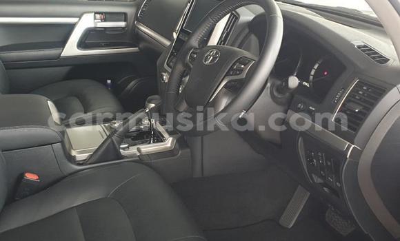 Nunua Ilio tumika Toyota Land Cruiser Prado Nyeupe Gari ndani ya Beitbridge nchini Matabeleland Kusini Nunua Ilio tumika Toyota Land Cruiser Prado Nyeupe Gari ndani ya Beitbridge nchini Matabeleland Kusini