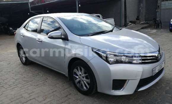 Nunua Ilio tumika Toyota Corolla Fedha Gari ndani ya Beitbridge nchini Matabeleland Kusini