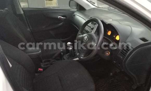 Tenga Tsaru Toyota Corolla Sirivha Mota in Beitbridge in Matabeleland South Tenga Tsaru Toyota Corolla Sirivha Mota in Beitbridge in Matabeleland South