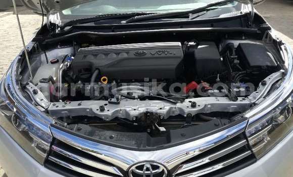 Tenga Tsaru Toyota Corolla Sirivha Mota in Beitbridge in Matabeleland South Tenga Tsaru Toyota Corolla Sirivha Mota in Beitbridge in Matabeleland South