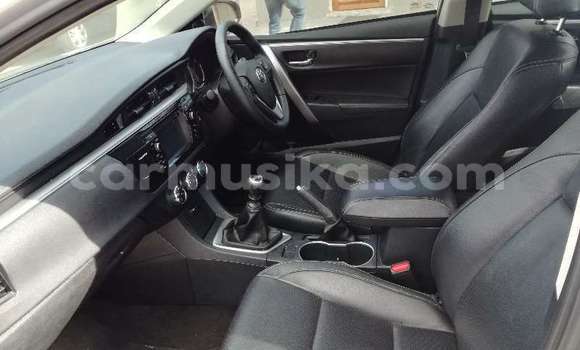 Tenga Tsaru Toyota Corolla Sirivha Mota in Beitbridge in Matabeleland South Tenga Tsaru Toyota Corolla Sirivha Mota in Beitbridge in Matabeleland South