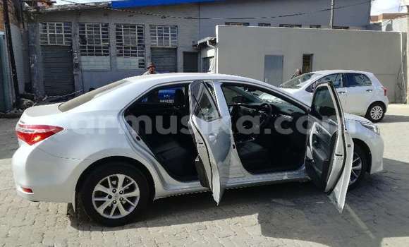 Tenga Tsaru Toyota Corolla Sirivha Mota in Beitbridge in Matabeleland South Tenga Tsaru Toyota Corolla Sirivha Mota in Beitbridge in Matabeleland South