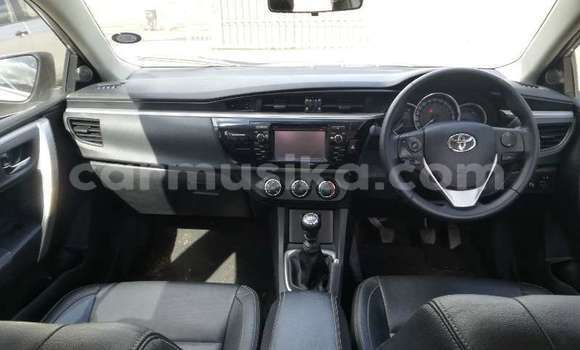 Tenga Tsaru Toyota Corolla Sirivha Mota in Beitbridge in Matabeleland South Tenga Tsaru Toyota Corolla Sirivha Mota in Beitbridge in Matabeleland South