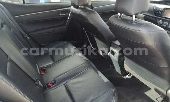 Tenga Tsaru Toyota Corolla Sirivha Mota in Beitbridge in Matabeleland South Tenga Tsaru Toyota Corolla Sirivha Mota in Beitbridge in Matabeleland South