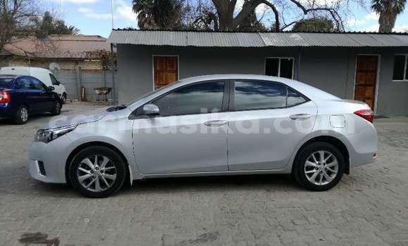 Tenga Tsaru Toyota Corolla Sirivha Mota in Beitbridge in Matabeleland South Tenga Tsaru Toyota Corolla Sirivha Mota in Beitbridge in Matabeleland South