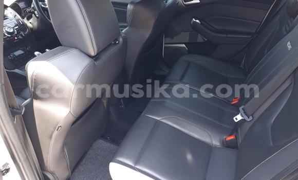 Tenga Tsaru Ford Focus ST Chena Mota in Beitbridge in Matabeleland South Tenga Tsaru Ford Focus ST Chena Mota in Beitbridge in Matabeleland South