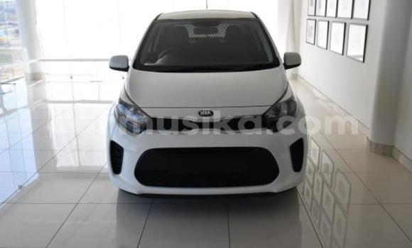 Nunua Ilio tumika Kia Picanto Nyeupe Gari ndani ya Beitbridge nchini Matabeleland Kusini