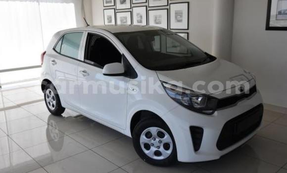 Tenga Tsaru Kia Picanto Chena Mota in Beitbridge in Matabeleland South Tenga Tsaru Kia Picanto Chena Mota in Beitbridge in Matabeleland South