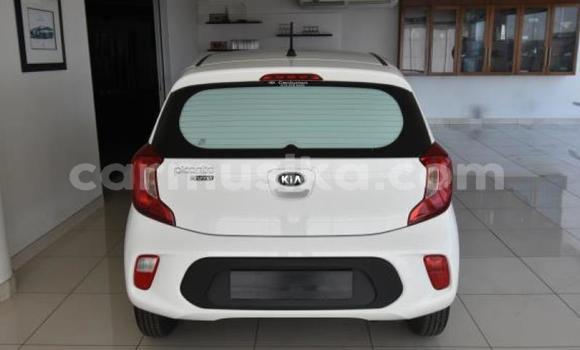 Tenga Tsaru Kia Picanto Chena Mota in Beitbridge in Matabeleland South Tenga Tsaru Kia Picanto Chena Mota in Beitbridge in Matabeleland South