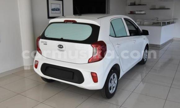 Tenga Tsaru Kia Picanto Chena Mota in Beitbridge in Matabeleland South Tenga Tsaru Kia Picanto Chena Mota in Beitbridge in Matabeleland South