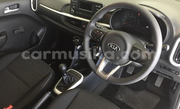 Tenga Tsaru Kia Picanto Chena Mota in Beitbridge in Matabeleland South Tenga Tsaru Kia Picanto Chena Mota in Beitbridge in Matabeleland South