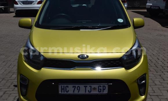 Tenga Tsaru Kia Picanto Zvimwe Mota in Beitbridge in Matabeleland South