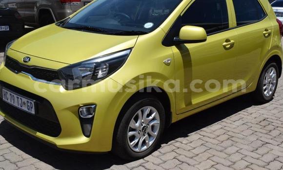 Tenga Tsaru Kia Picanto Zvimwe Mota in Beitbridge in Matabeleland South Tenga Tsaru Kia Picanto Zvimwe Mota in Beitbridge in Matabeleland South