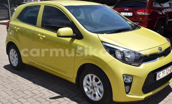 Tenga Tsaru Kia Picanto Zvimwe Mota in Beitbridge in Matabeleland South Tenga Tsaru Kia Picanto Zvimwe Mota in Beitbridge in Matabeleland South