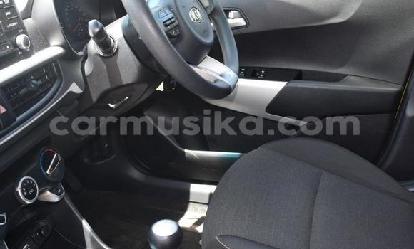 Tenga Tsaru Kia Picanto Zvimwe Mota in Beitbridge in Matabeleland South Tenga Tsaru Kia Picanto Zvimwe Mota in Beitbridge in Matabeleland South