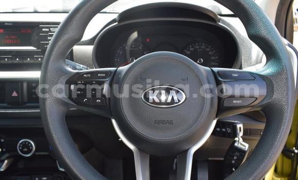 Tenga Tsaru Kia Picanto Zvimwe Mota in Beitbridge in Matabeleland South Tenga Tsaru Kia Picanto Zvimwe Mota in Beitbridge in Matabeleland South