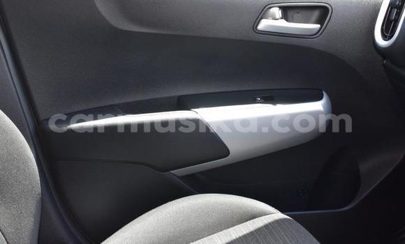 Tenga Tsaru Kia Picanto Zvimwe Mota in Beitbridge in Matabeleland South Tenga Tsaru Kia Picanto Zvimwe Mota in Beitbridge in Matabeleland South